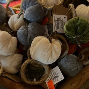 Set of 8 assorted felt pumpkin napkin rings mud pie